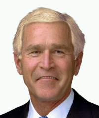 Bush, personalizable
